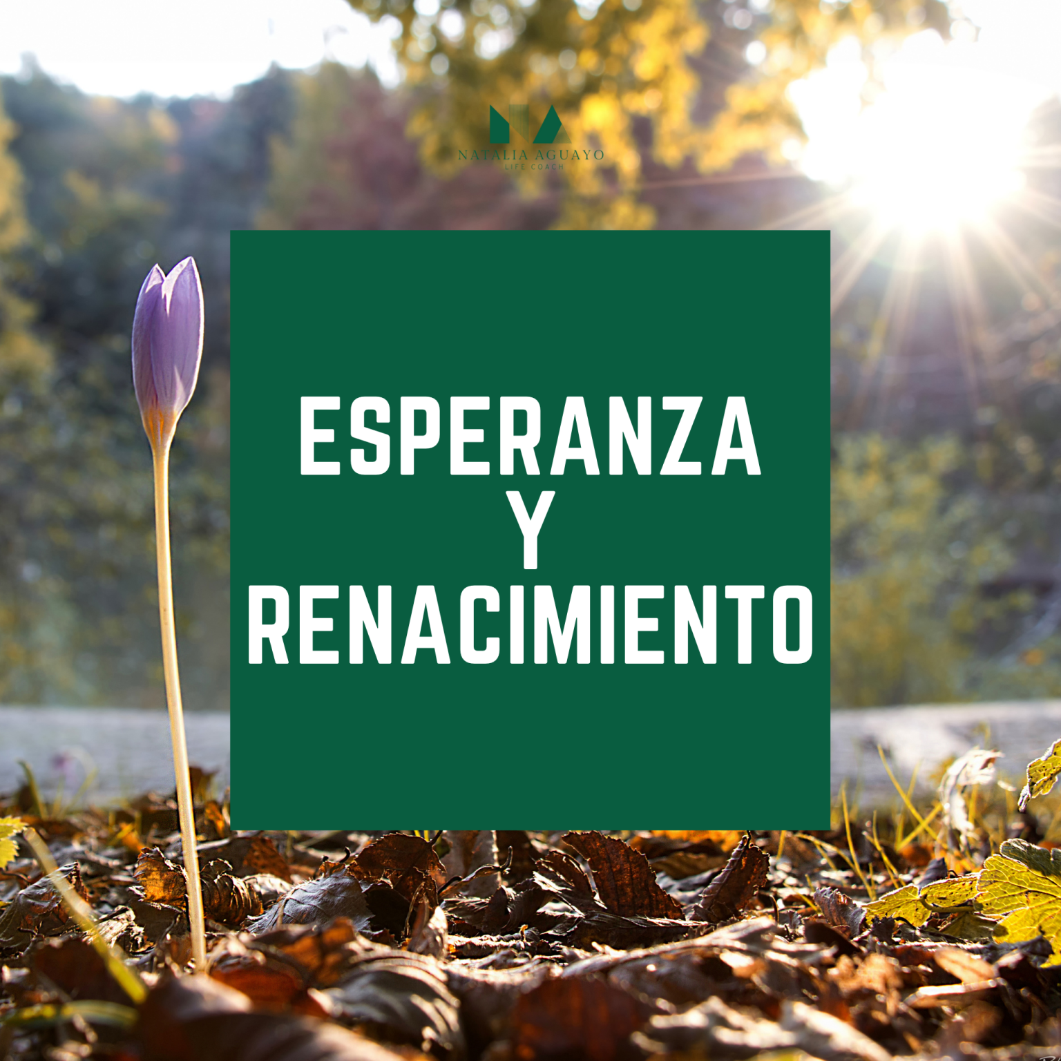 ESPERANZA Y RENACIMIENTO